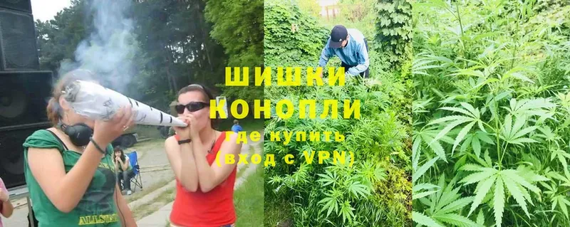 Каннабис Ganja  где найти наркотики  Северск 